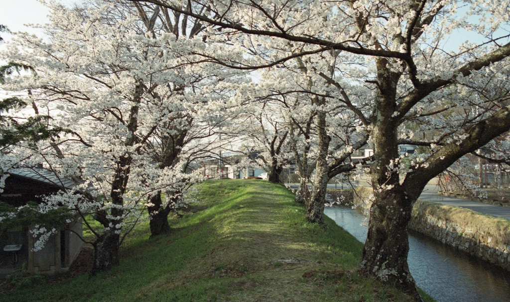 龍岡城にて②