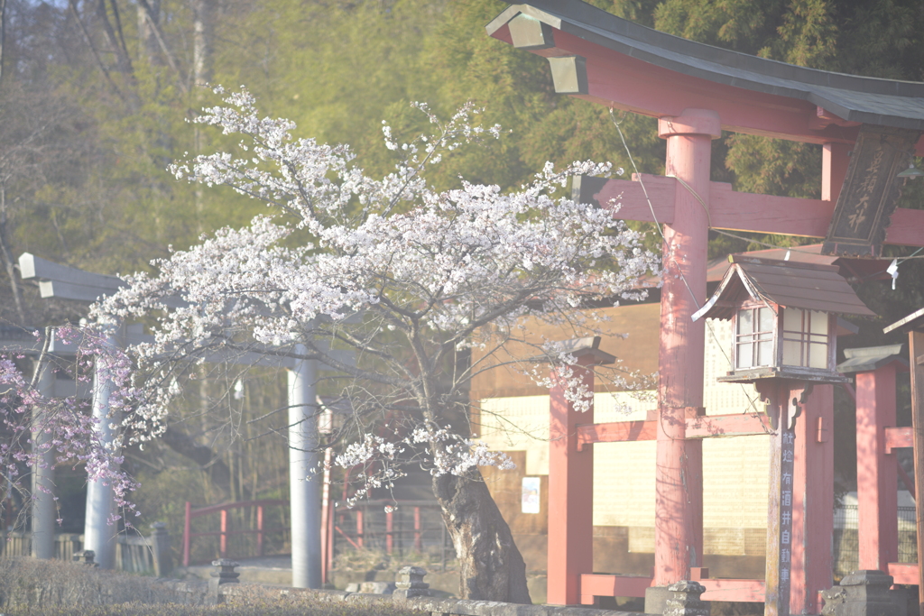 鼻面稲荷神社