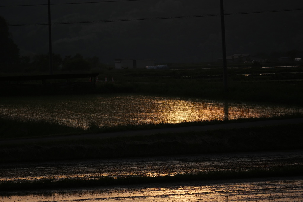 田の夕べ