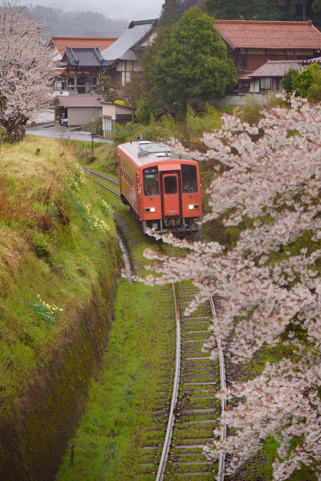 フェンスが写ってない