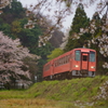 赤いのが来た