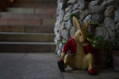 沖縄本島 北谷 アメリカンビレッジ SONY α1 テスト2