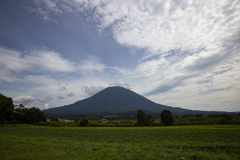 夏の羊蹄山