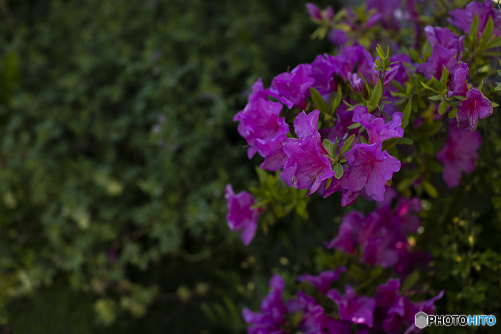 ガレージ前にて