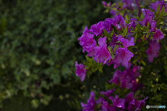 ガレージ前にて