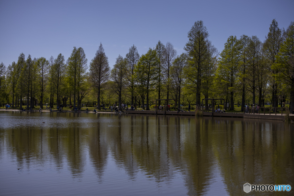 都立公園ぶらぶら 200419  01