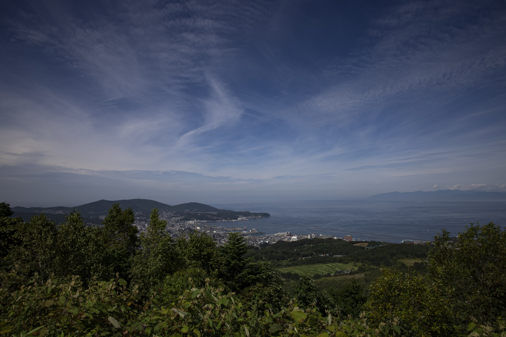 山から見る小樽市内