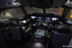 FLIGHT OF DREAMS  01