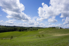 丘のレストランから