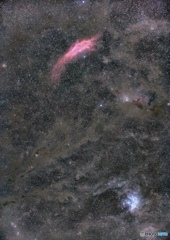 カリフォルニア星雲からスバル付近の分子雲