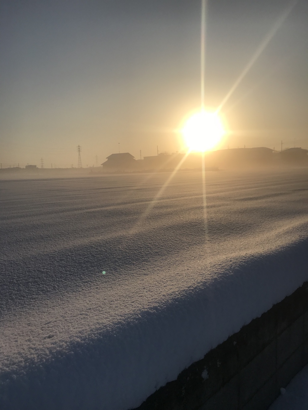 なんかほっこり