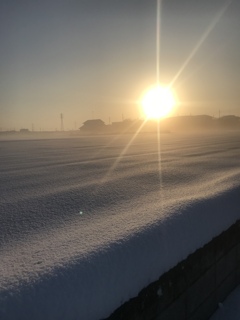 なんかほっこり