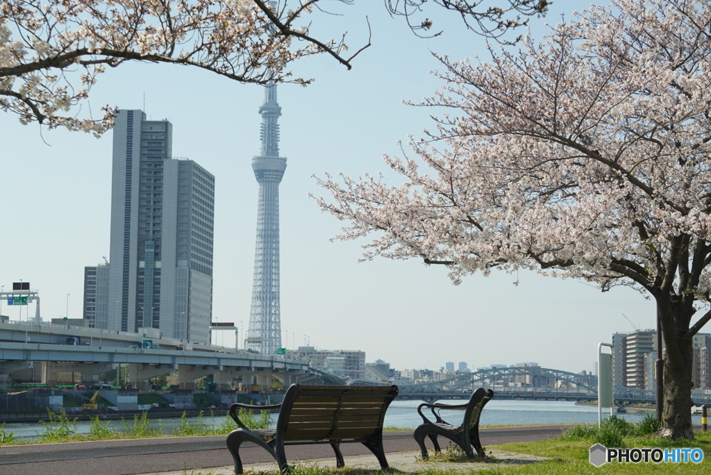 川の手の春