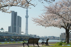 川の手の春