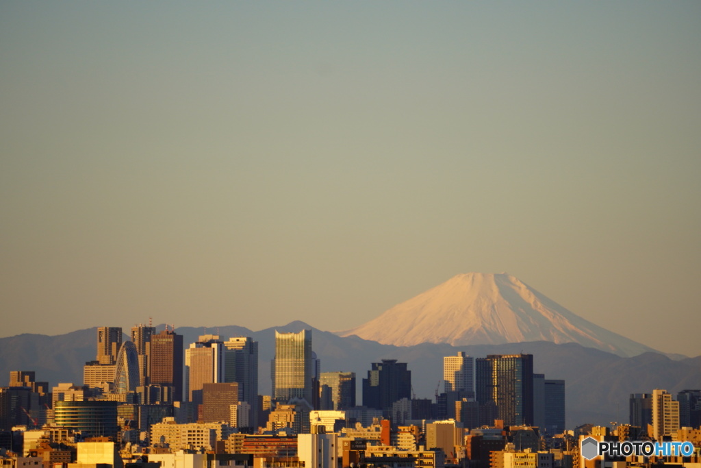 新年の朝