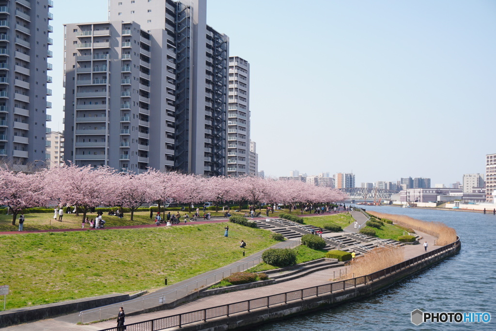 川の手の春Ⅲ