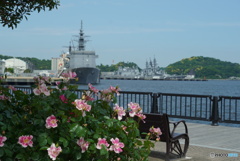 薔薇と軍港