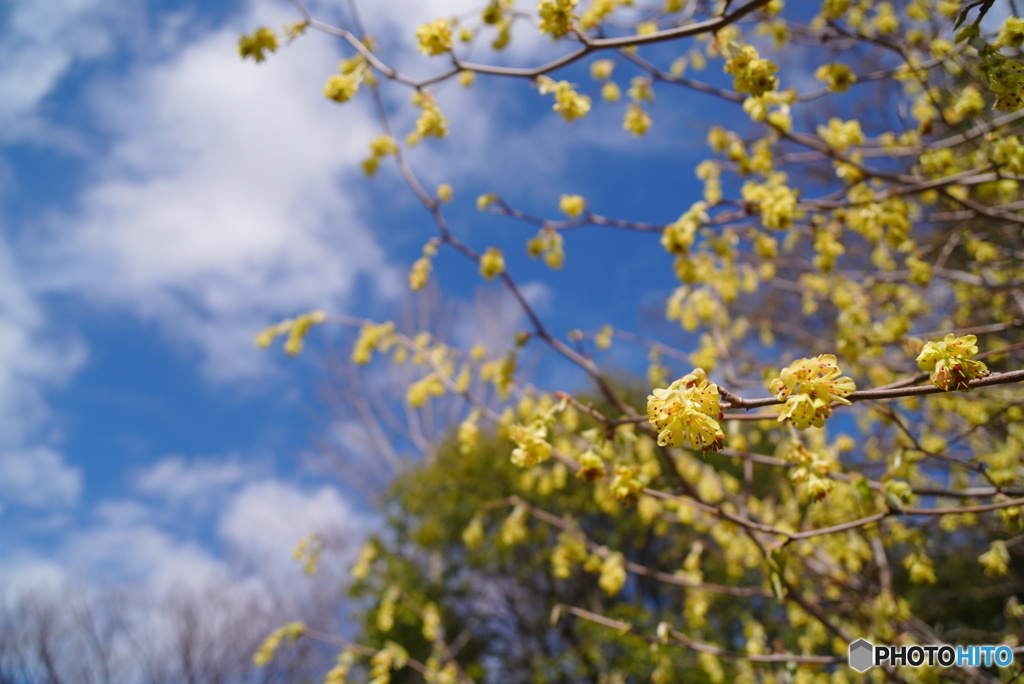 春の嵐が過ぎて