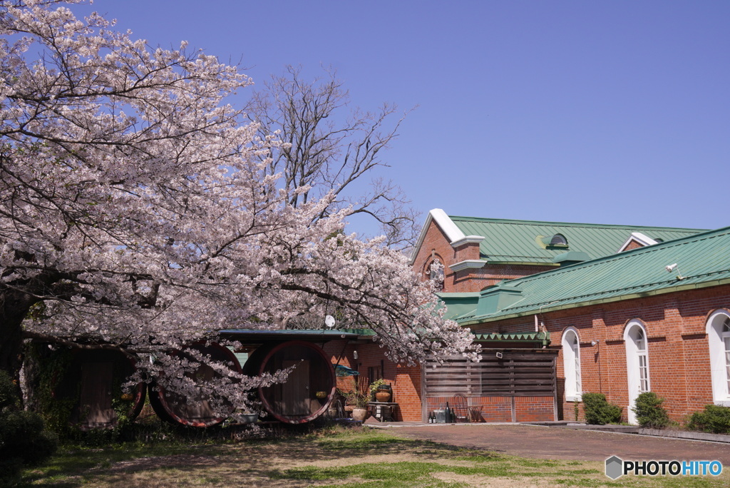 4月のシャトー
