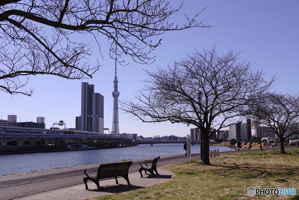 3月の散歩道