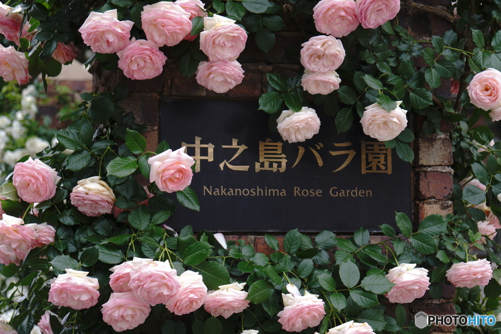 再び此処へ