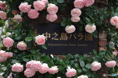 再び此処へ