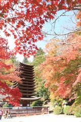 談山神社の十三重塔