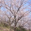 どん