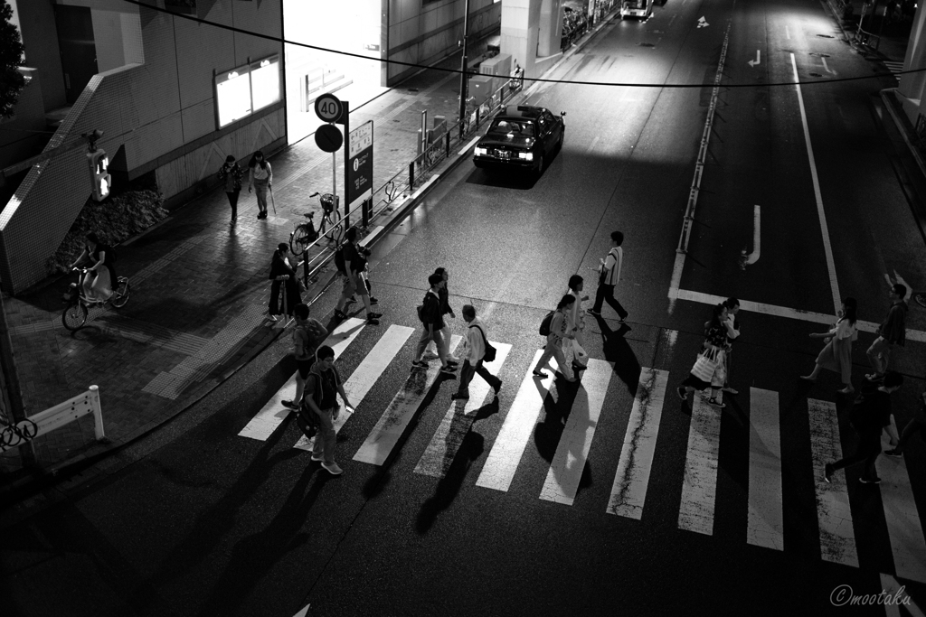 雨上がりの横断歩道