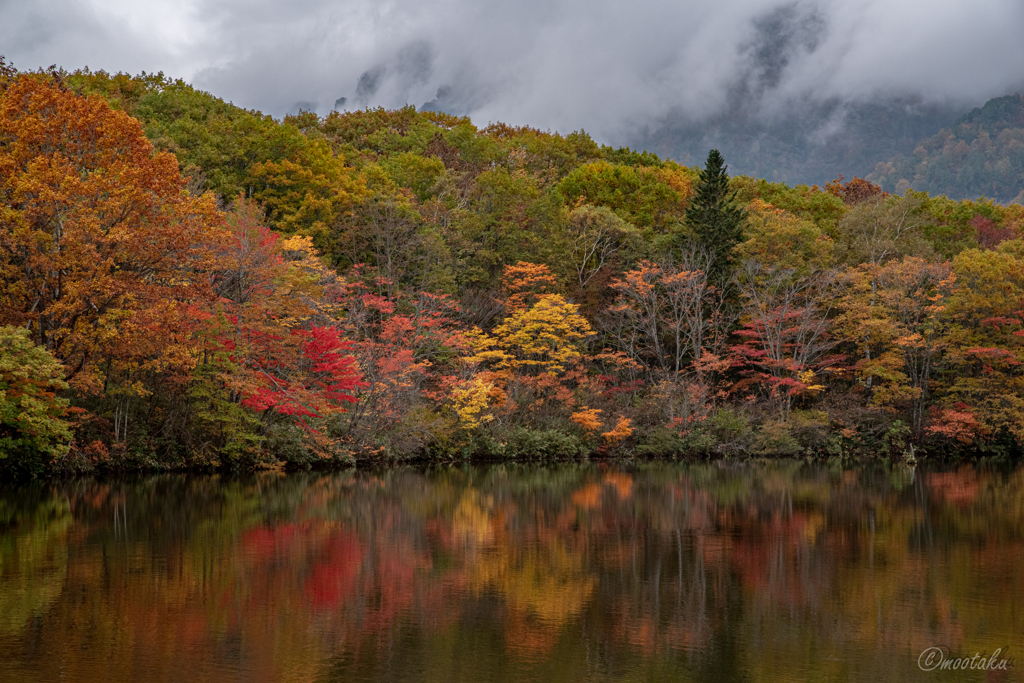 水面と紅葉