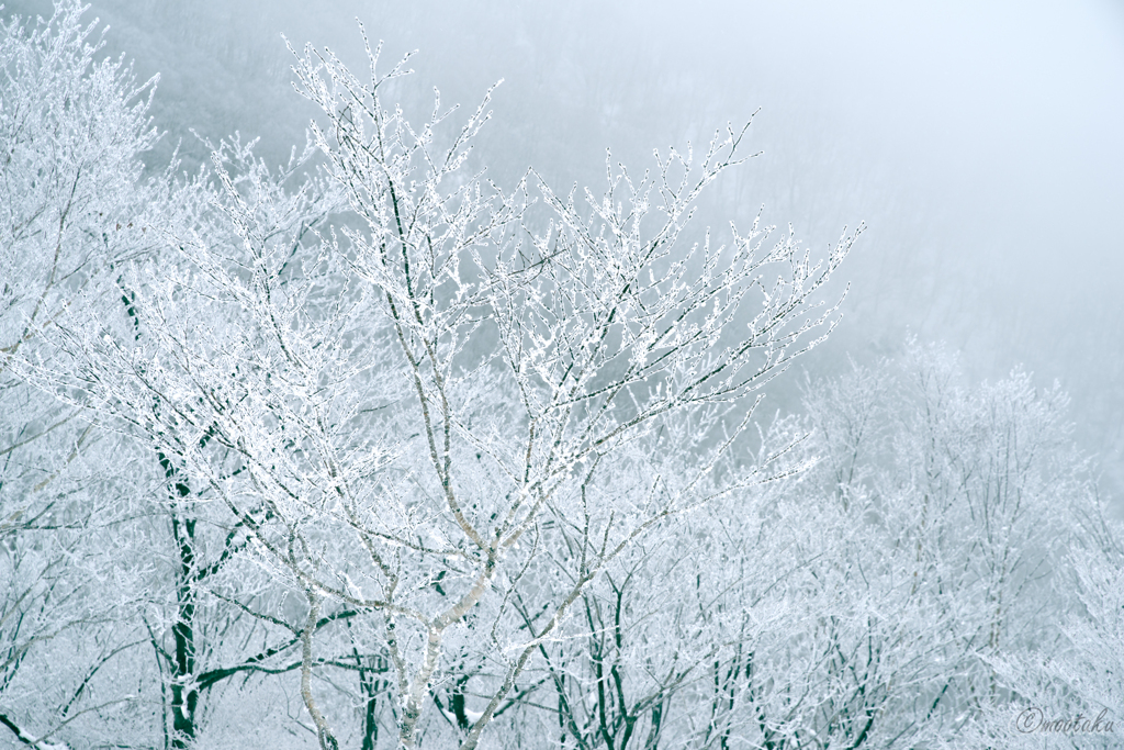 雪踊り