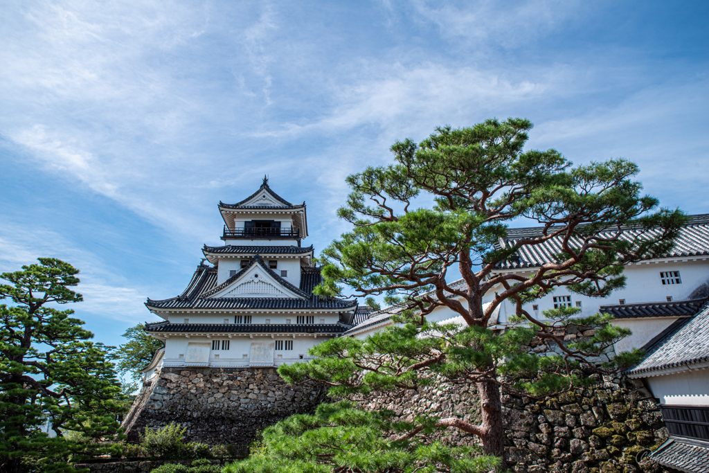 高知城