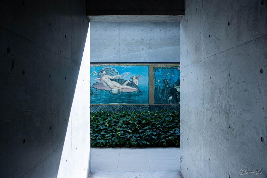 絵画が見える通路