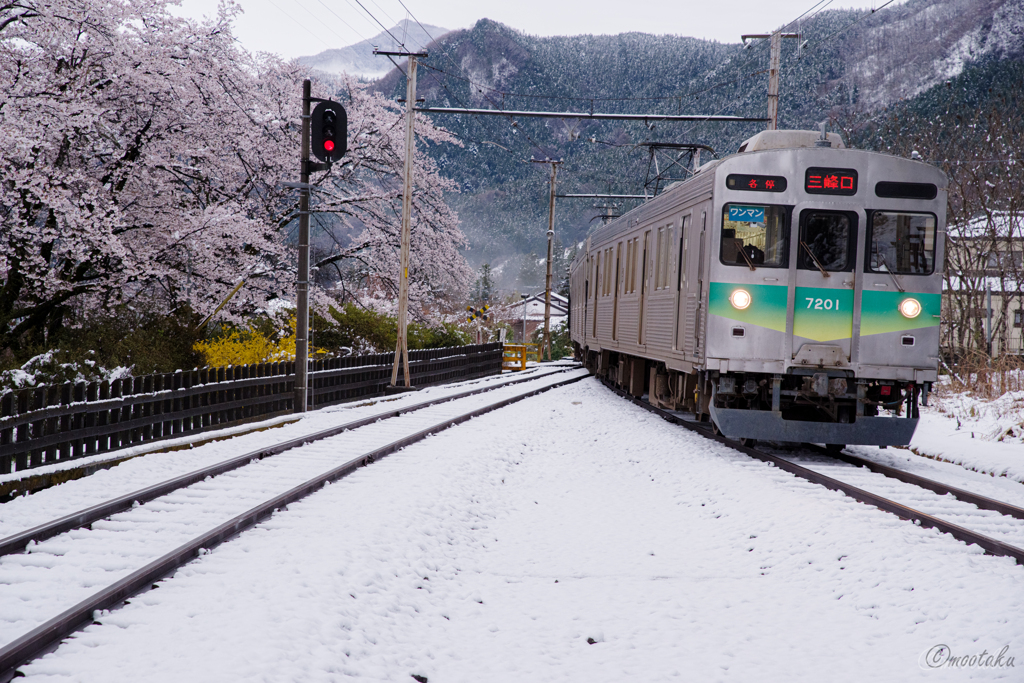 雪桜と鉄道