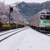 雪桜と鉄道