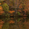 秋の鏡面