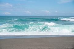 土佐の海