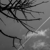 雲の行方