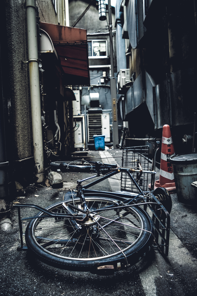 行く手を阻むもの