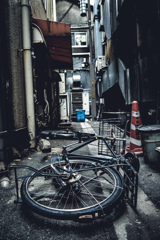 行く手を阻むもの
