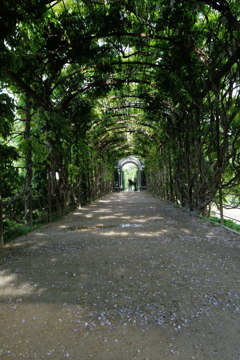 シェーンブルグ宮殿の庭