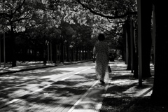 木漏れ日を歩く女性