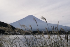 秋の富士山