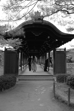 平安神宮庭園