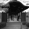 平安神宮庭園