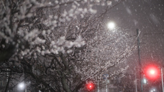 雪の街路