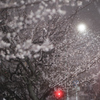 雪の街路