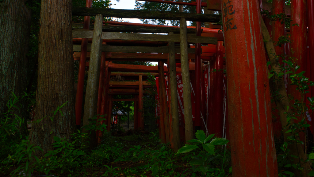 稲荷神社の鳥居