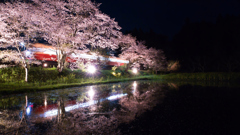桜と小湊鐵道