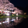 桜と小湊鐵道